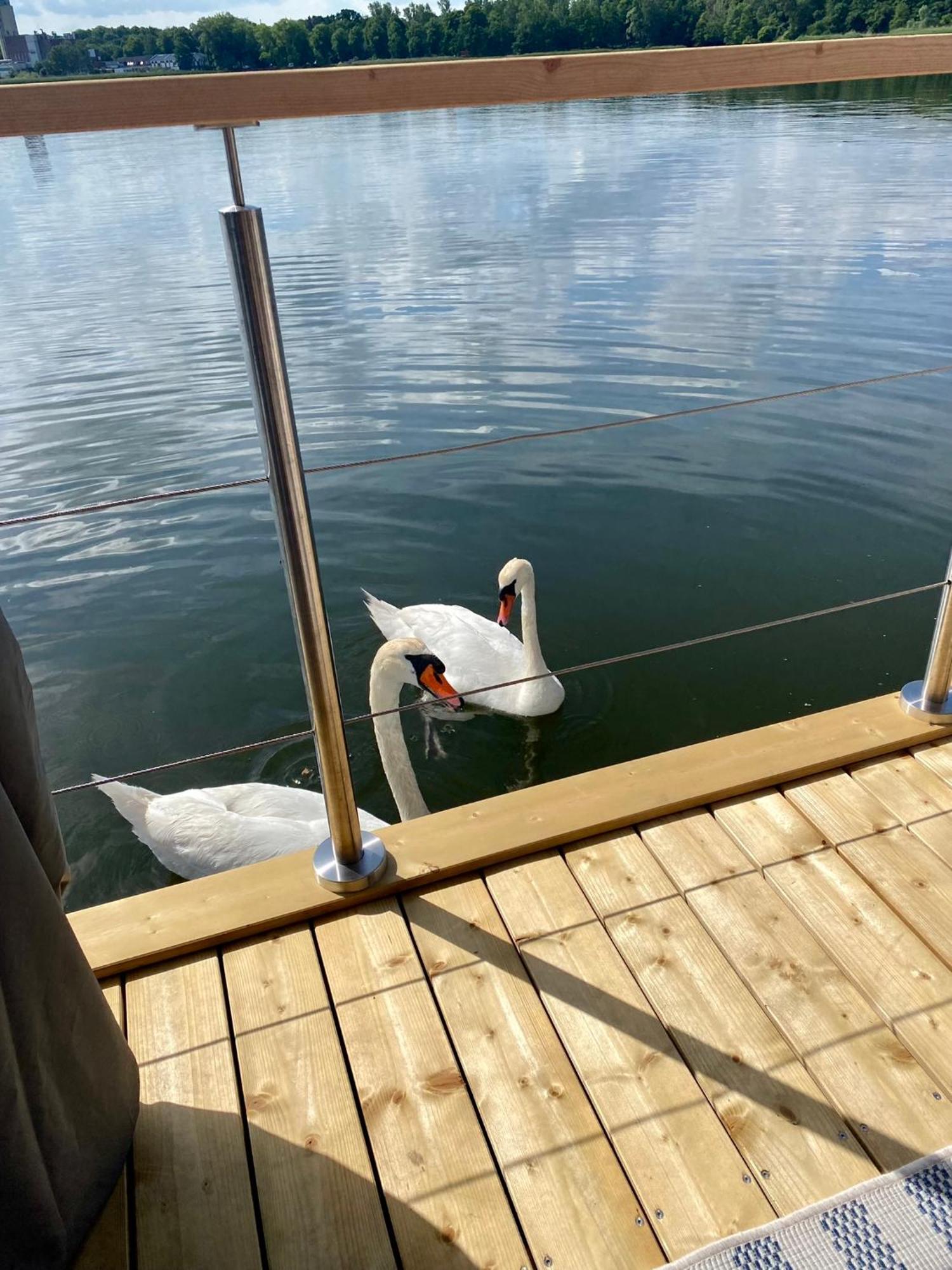 Ferienhaus Hausboot Snowbird Mit Grossem Sonnendeck Und Waeschepaketen Inklusive *